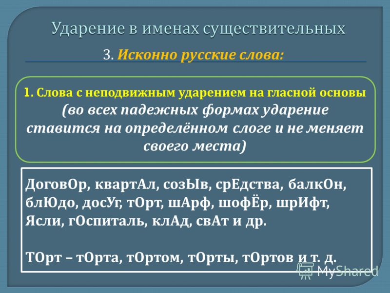 Рецепт блюд из говяжьих почек