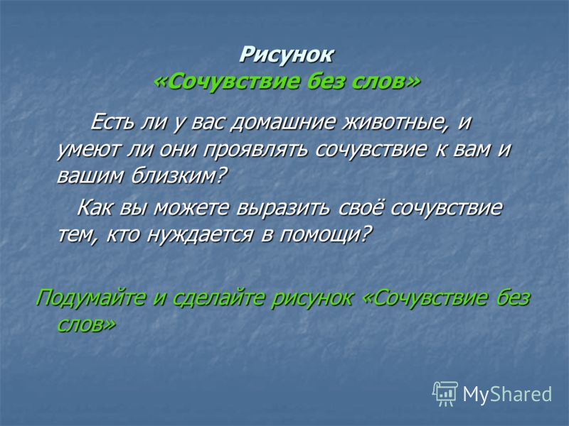 Слов есть ли у вас домашние животные Слов есть ли у вас домашние животные