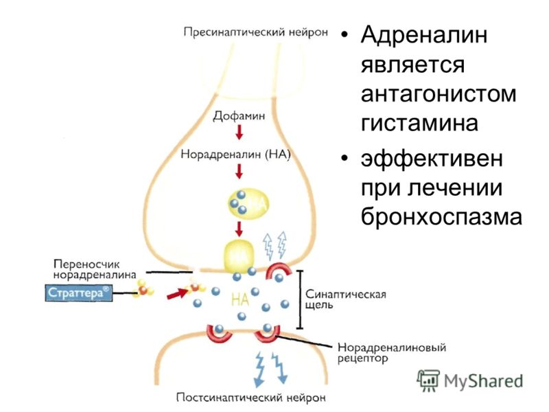 Адреналин под кожу Адреналин под кожу
