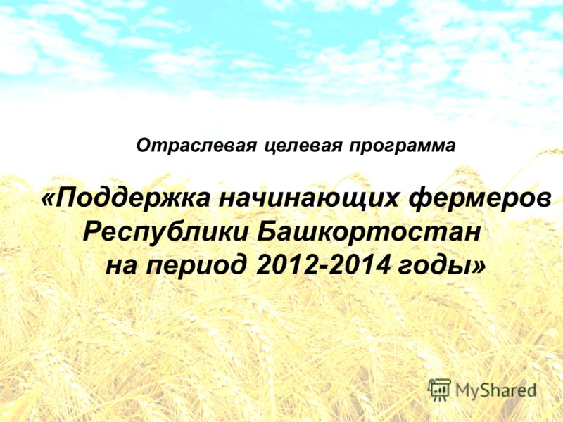 Бизнес План По Развитию Кфх Бизнес План По Развитию Кфх