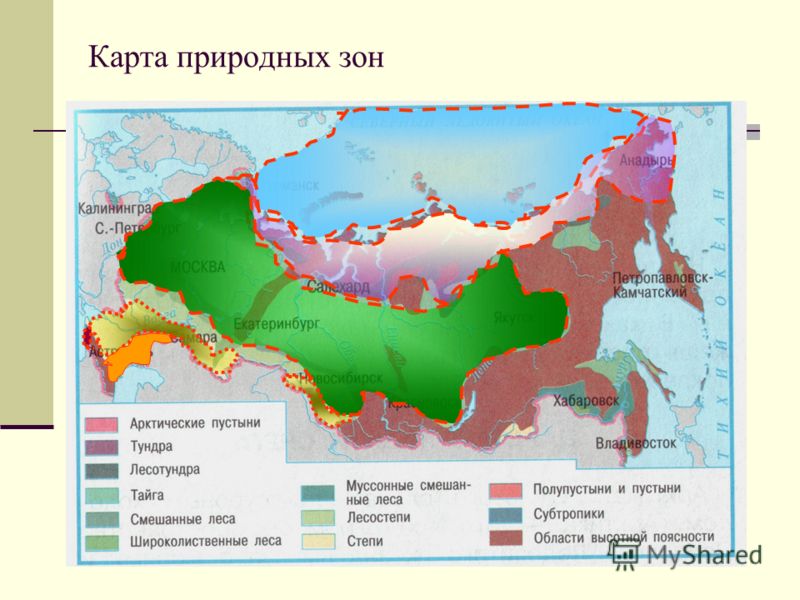 Презентация По Природным Зонам России Презентация По Природным Зонам России