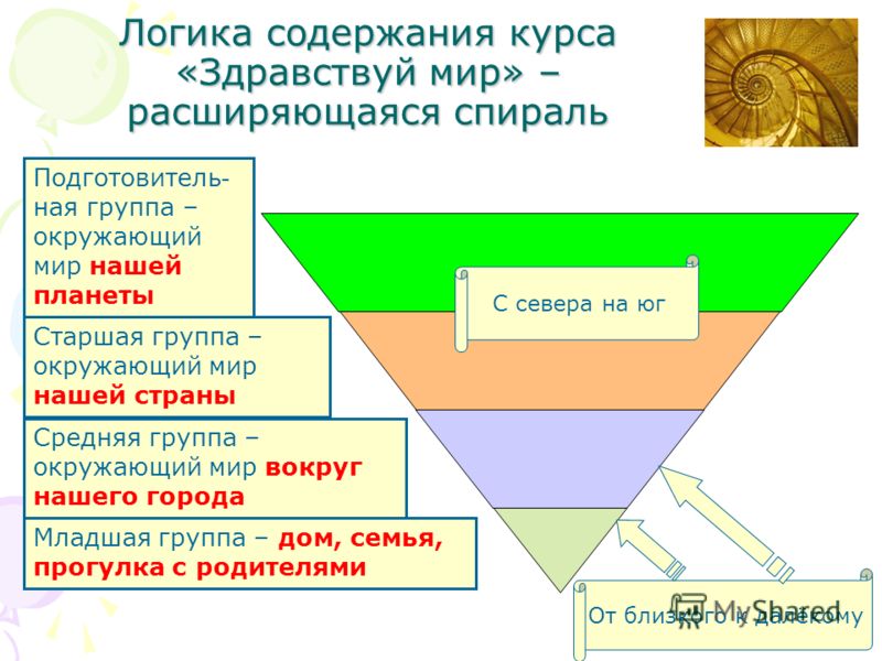 Что должно быть в портфолио у графического редактора