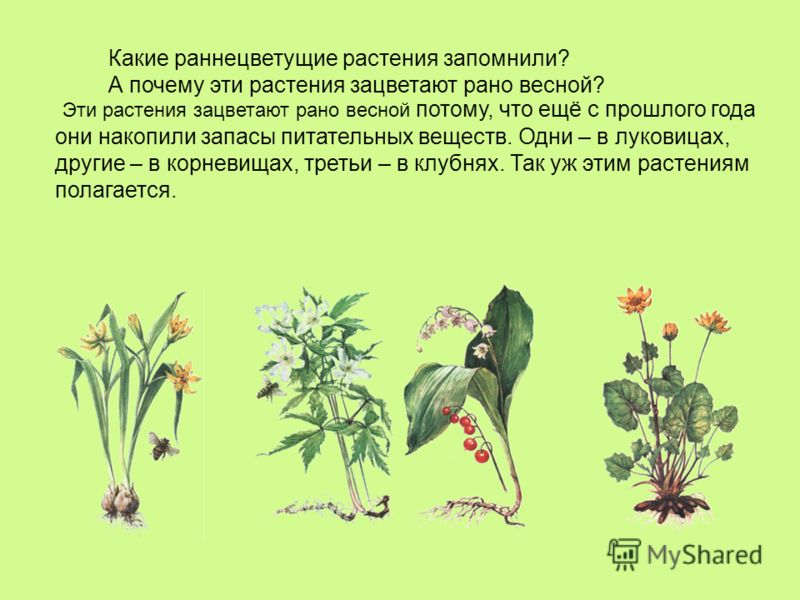 Вот это Улыбка Вот это Голос скачать