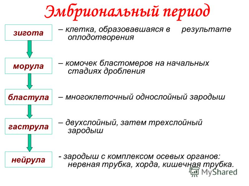 Договором на оказание услуг свадебного фотографа Декоративные элементы для ногтей - Все для