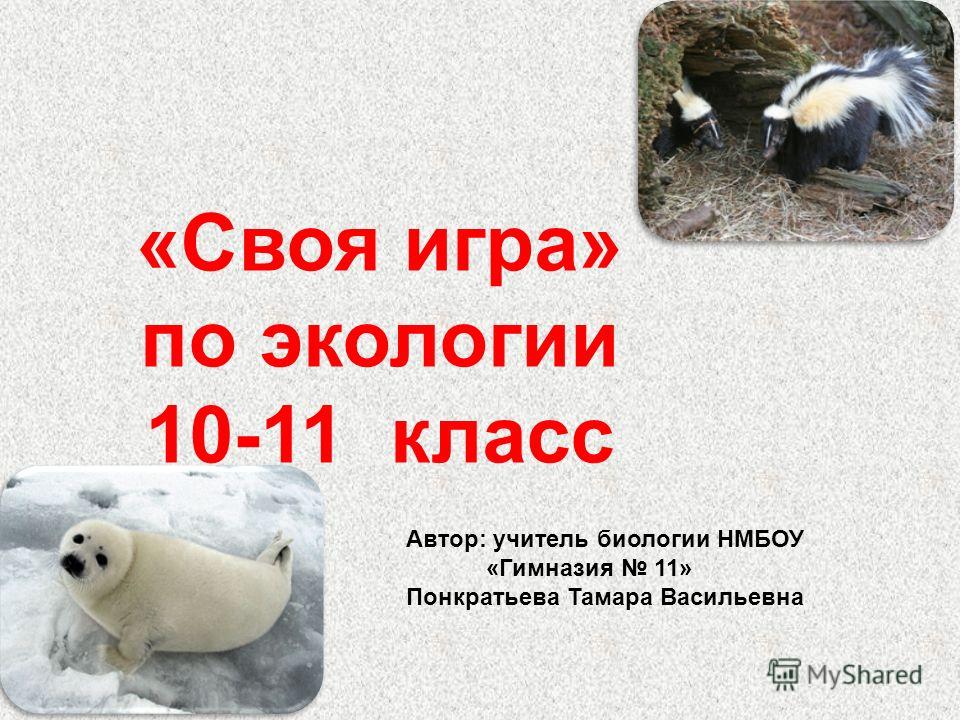Презентация школьного кабинета портфолио логопеда