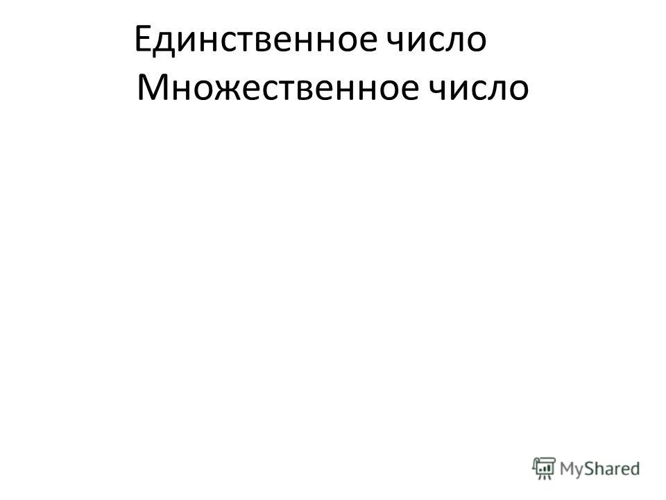 Брюки число множественное