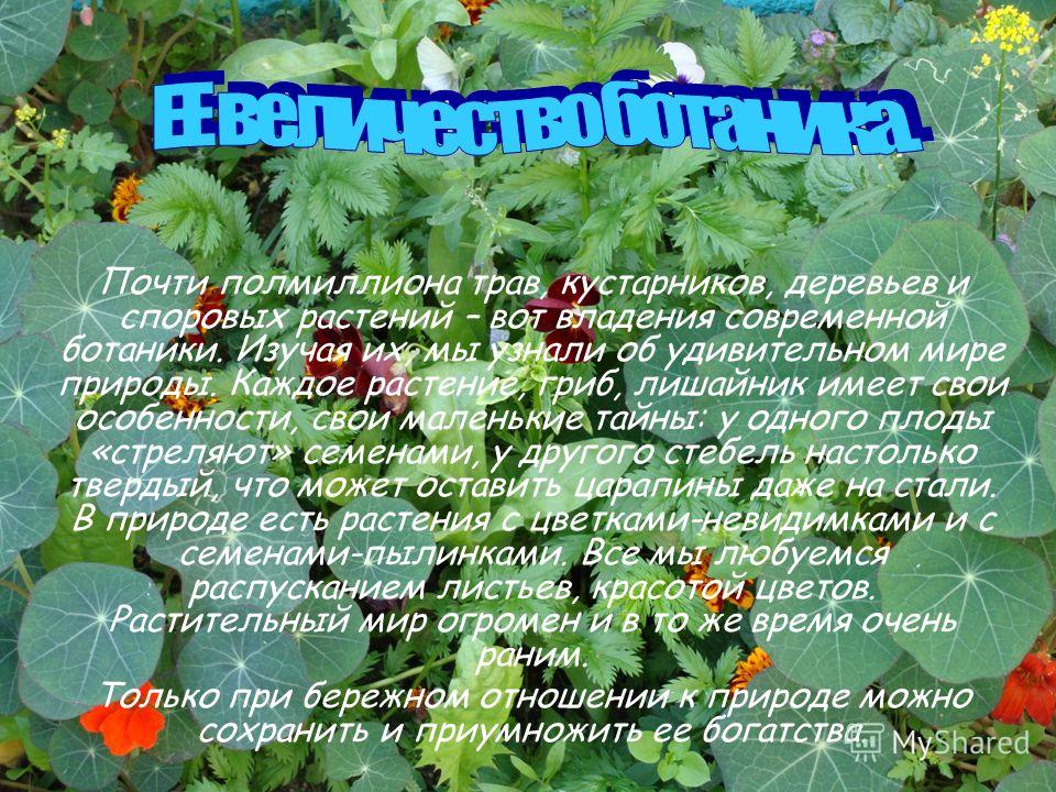 Изречения на тему слово Изречения на тему слово