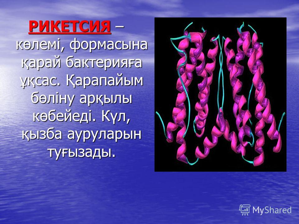 Холера ауруы казакша реферат 248