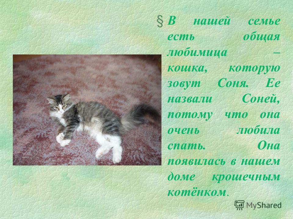 Рассказы топики на английском языке LEARN ENGLISH