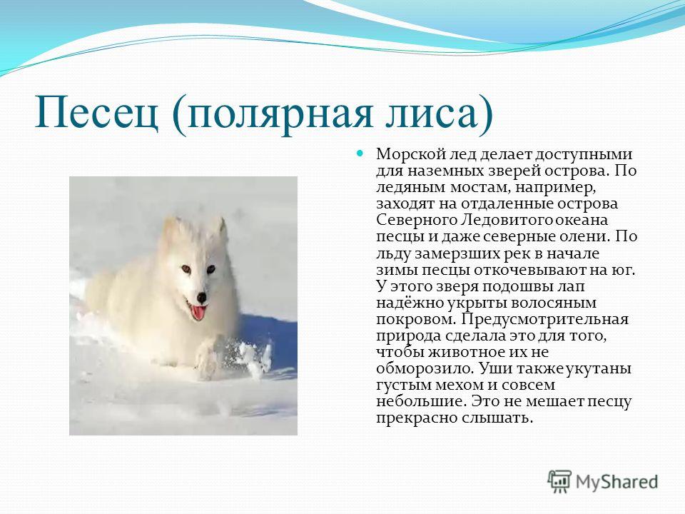 Фгос рабочая программа по русскому языку 3 класс