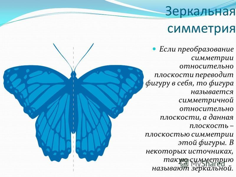 Зеркальная симметрия примеры из жизни