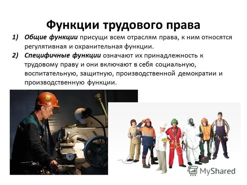 Функции Трудового Права Реферат Функции Трудового Права Реферат