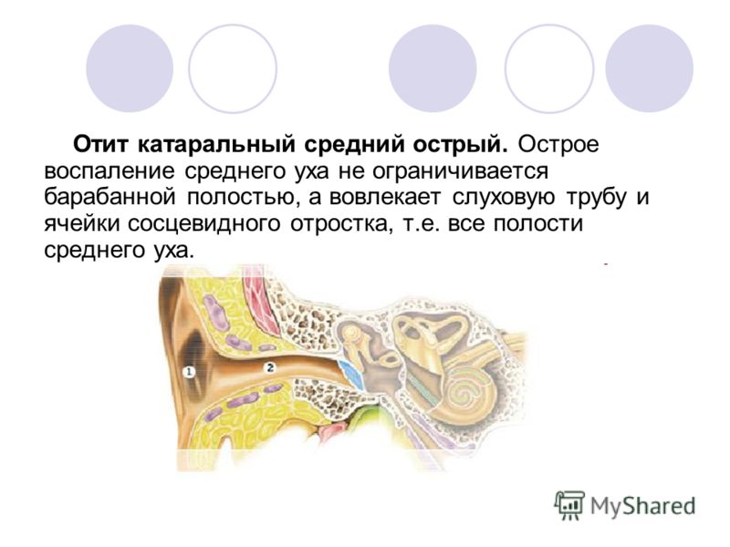 Боли внизу живота после кесарева сечения спустя месяц