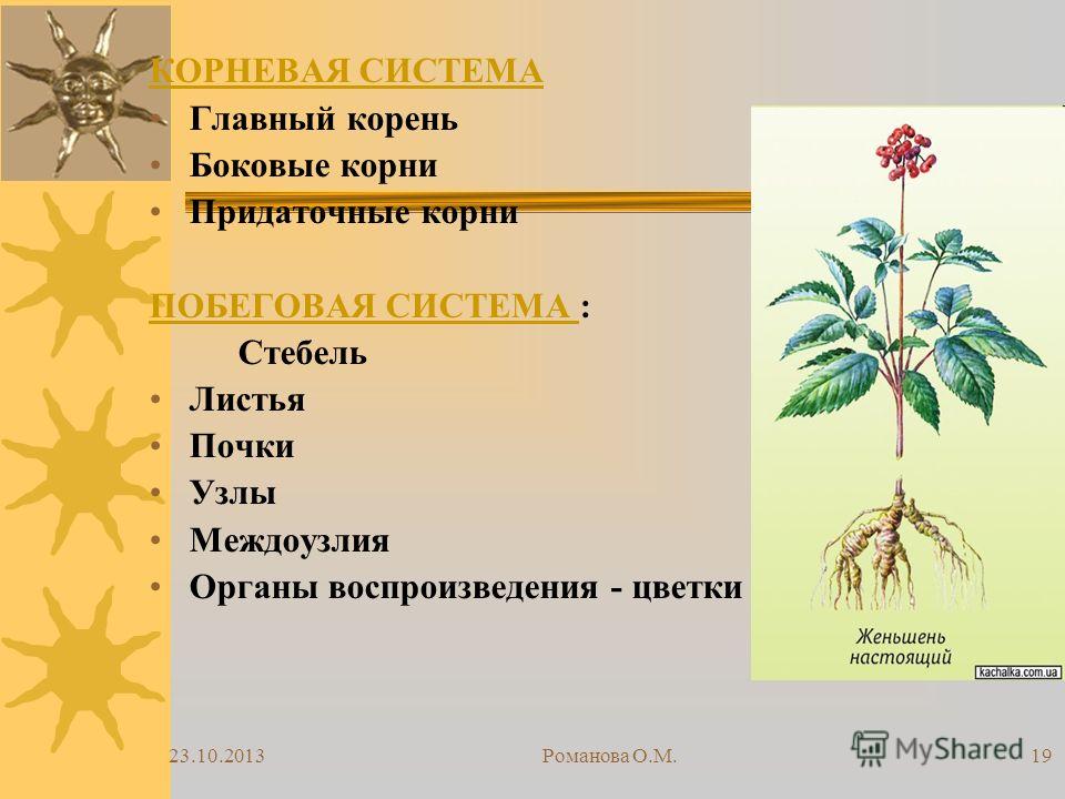 Что подарить сестре на 35-летие картинки Что подарить сестре на 35-летие картинки