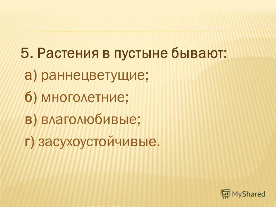 Растения в пустыне бывают а Растения в пустыне бывают а