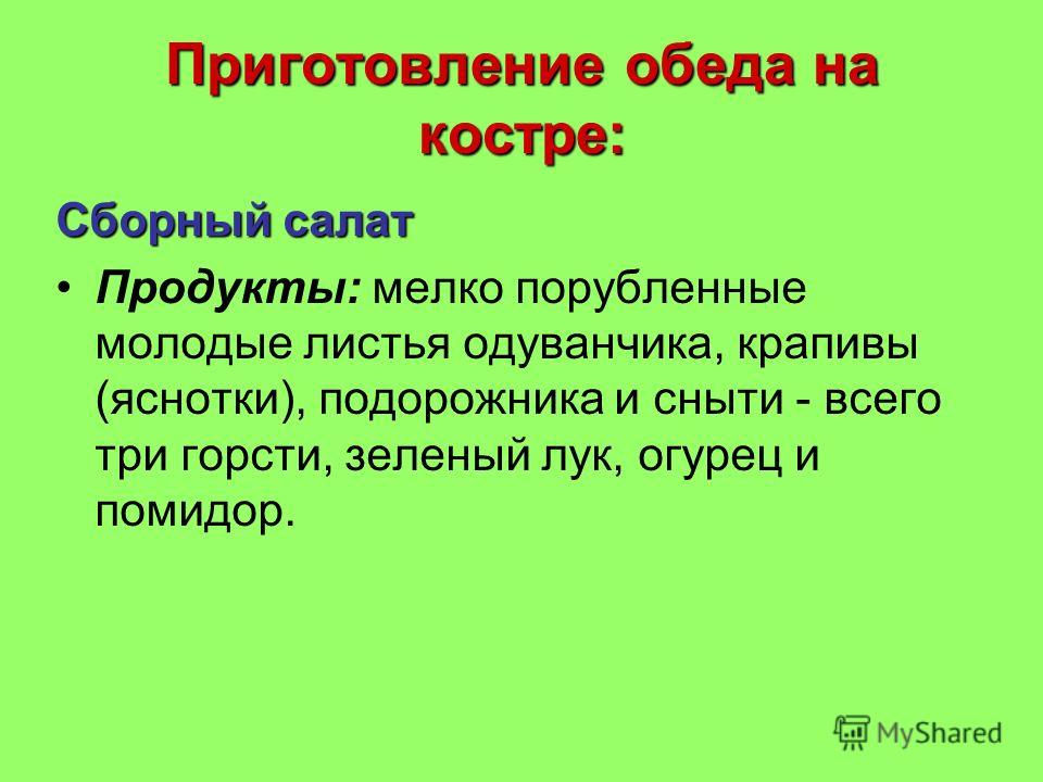 Зеленый лук одежды Зеленый лук одежды