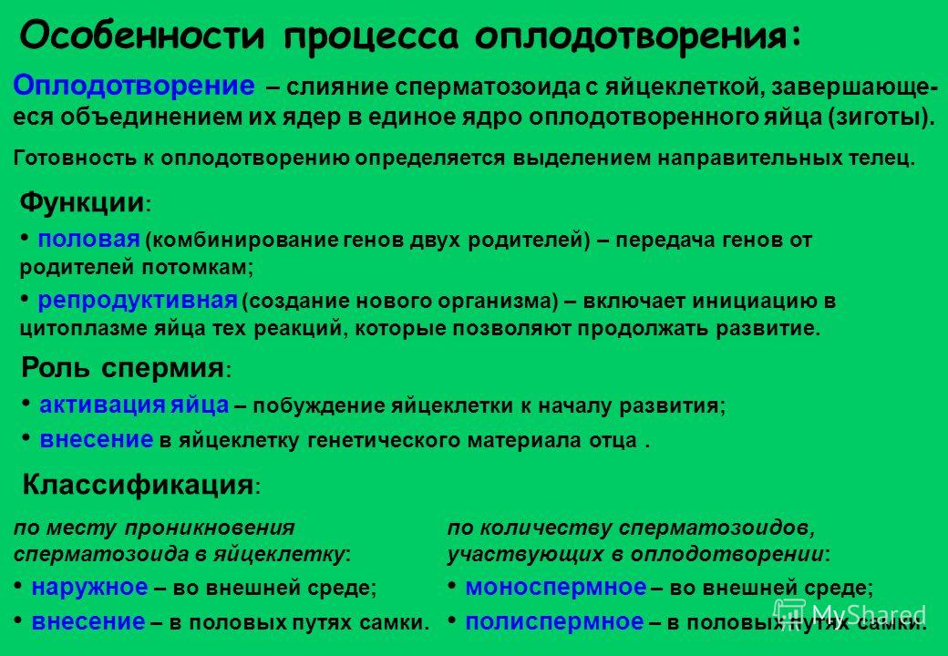 Учебник 6 Класса По Русскому Языку Pdf Бесплатно