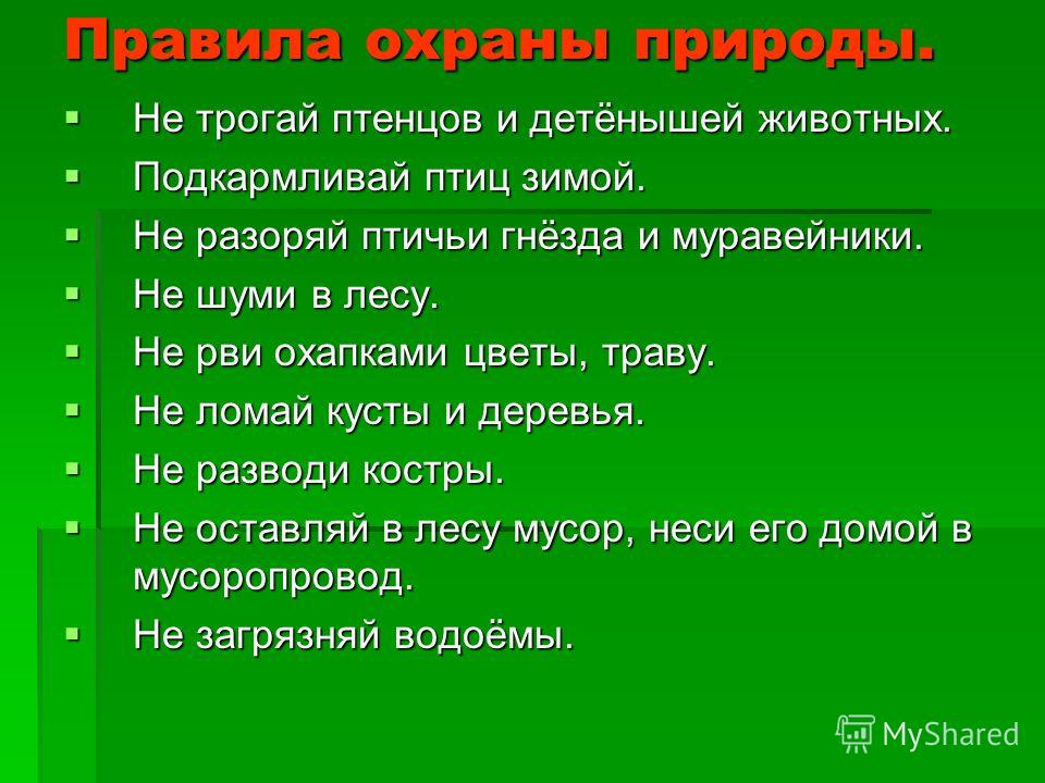 глисты у взрослого лекарства глисты у взрослого лекарства