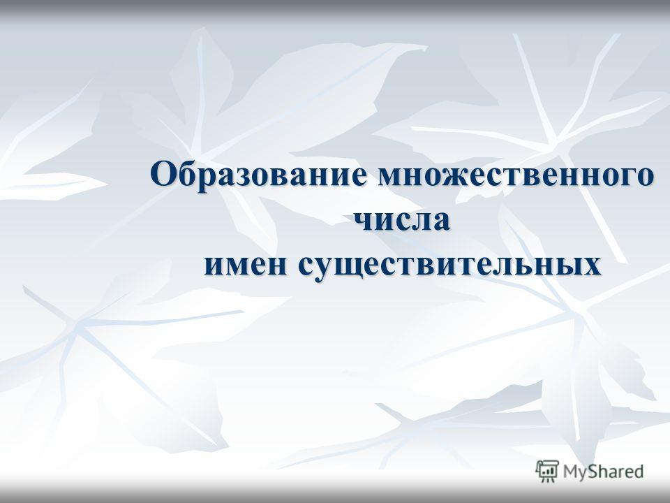 Презентация число имен существительных