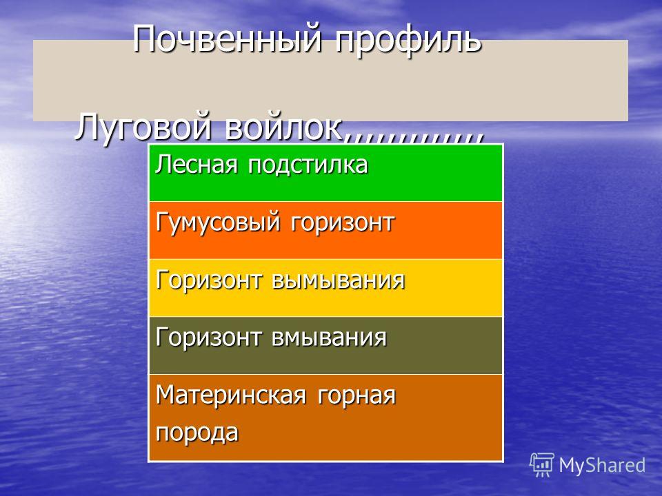 Презентация Климат России