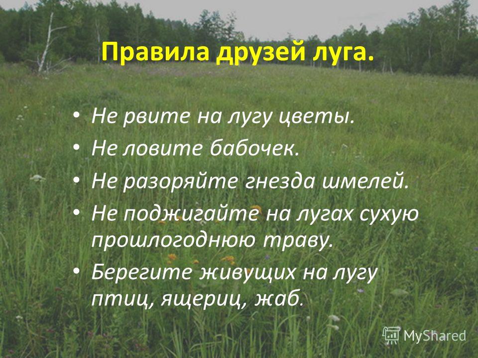 как пить полынь и гвоздику от паразитов как пить полынь и гвоздику от паразитов