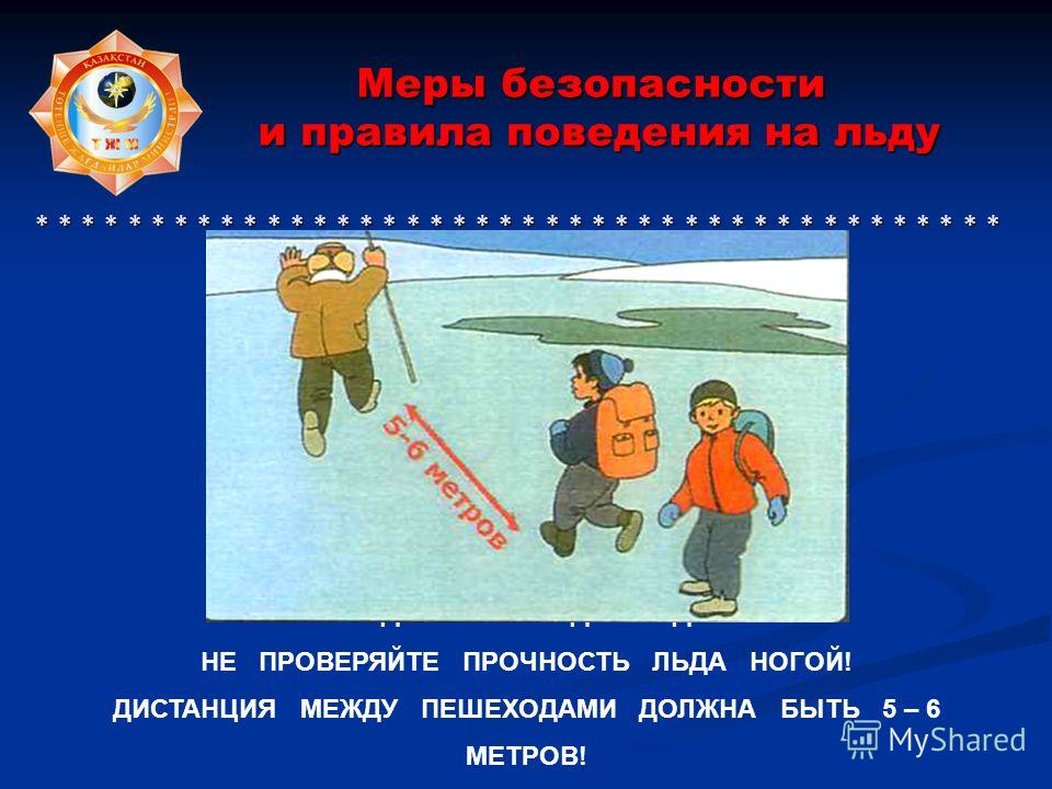 бесплатно скачать фильм о поведении на льду
