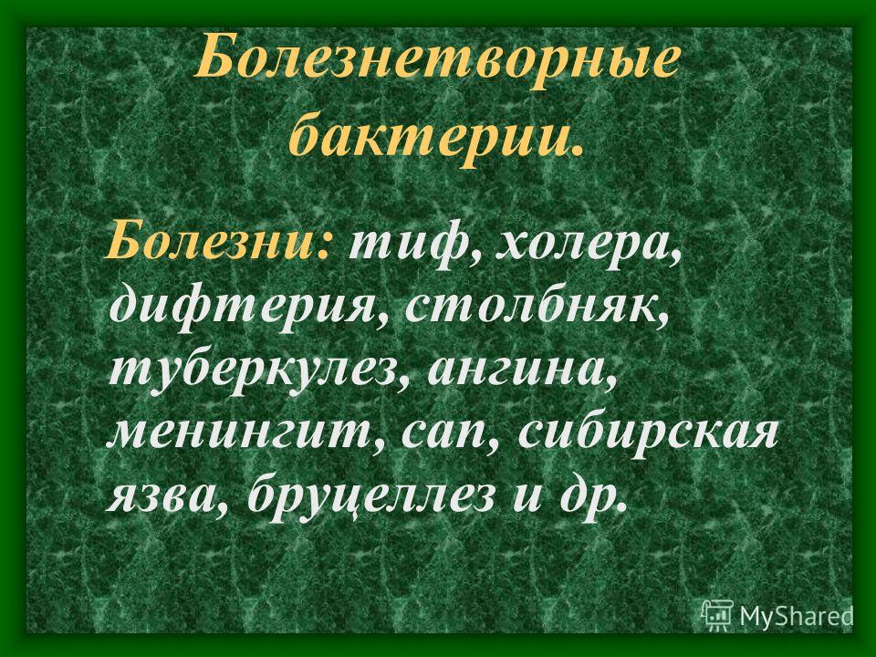 как называются паразиты живущие в человеке как называются паразиты живущие в человеке