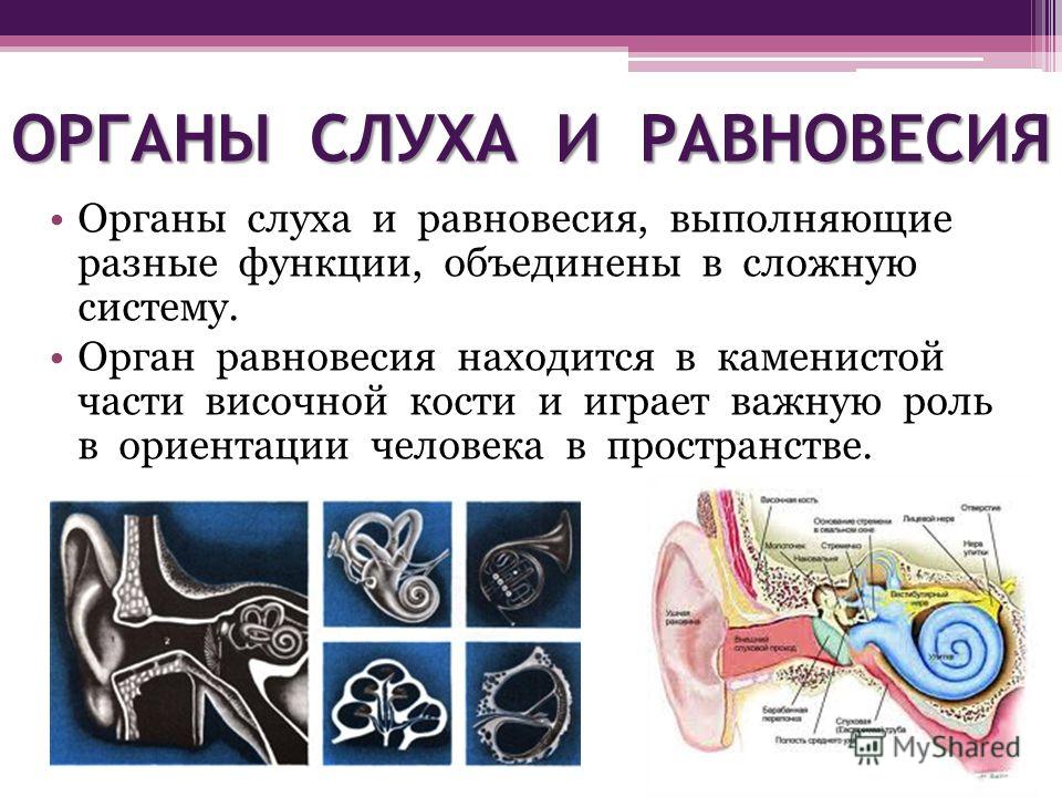 звук новорожденного ребенка скачать звук новорожденного ребенка скачать