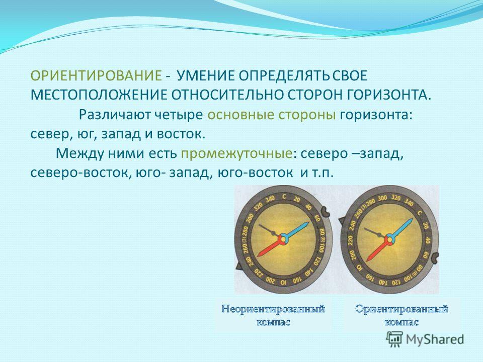 калина от паразитов как принимать калина от паразитов как принимать