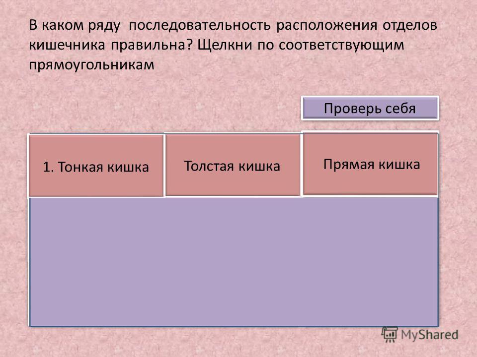 К чему левое ухо горит или правое по народным приметам Искусственная подсветка растений