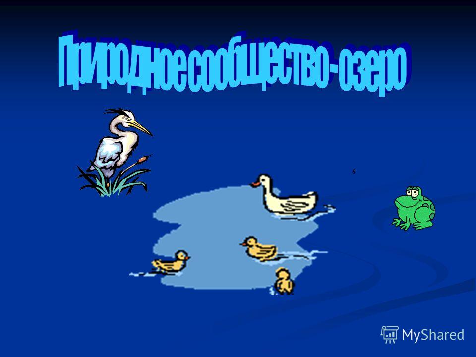 какие из перечисленных грибов являются паразитами человека какие из перечисленных грибов являются паразитами человека
