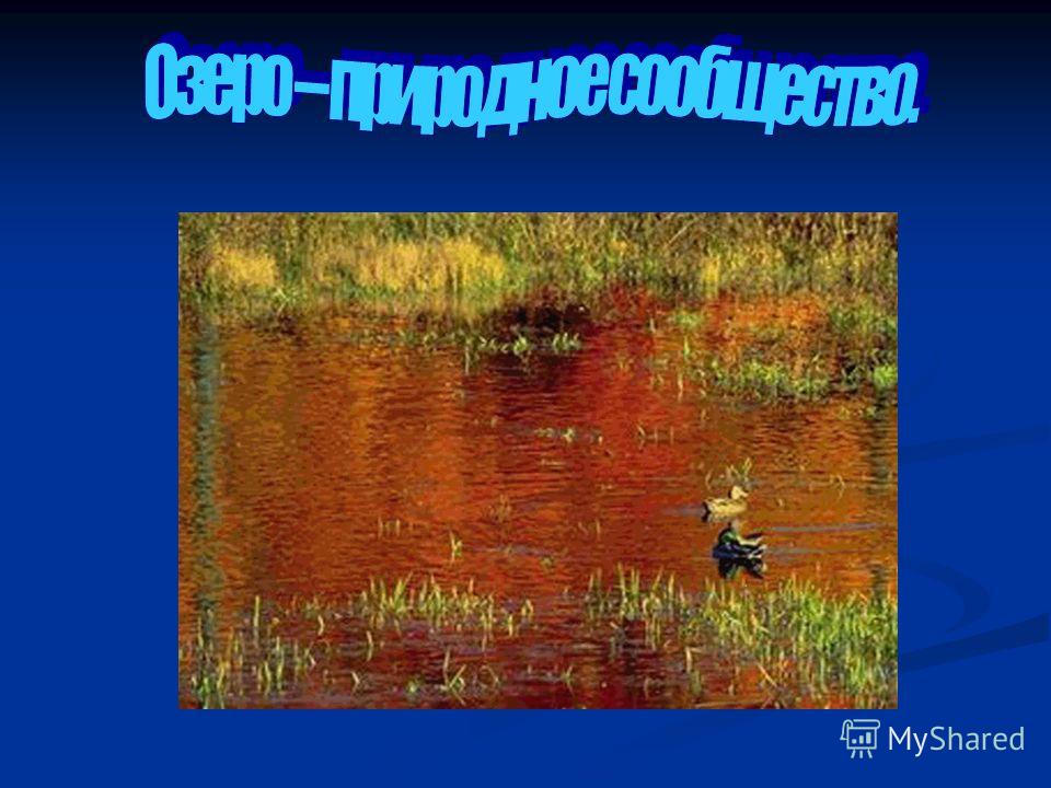 какие из перечисленных организмов являются паразитами какие из перечисленных организмов являются паразитами