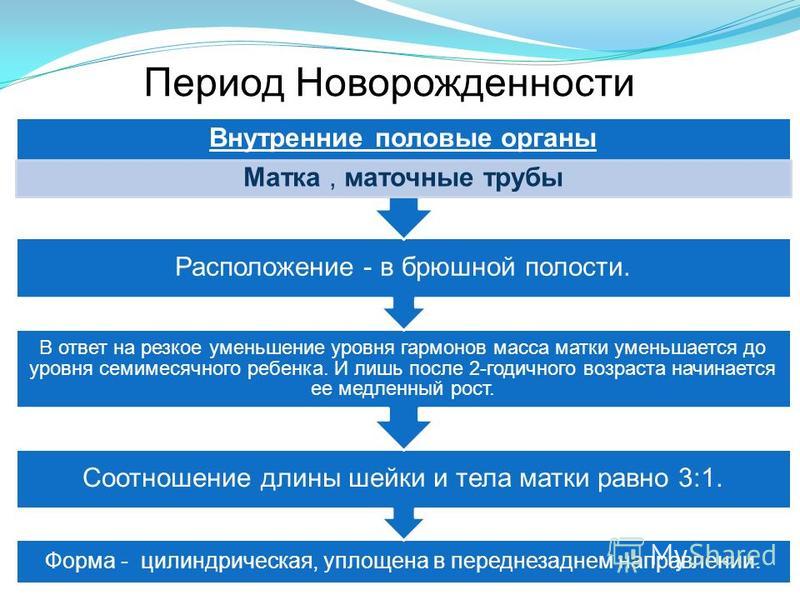 Анатомо физиологические особенности репродуктивной системы женщины презентация