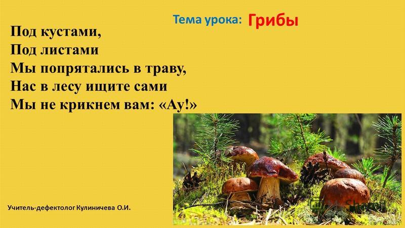 Турбина на газовый котел Турбина на газовый котел