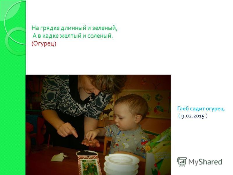 Сад и огород что сажают осенью 458