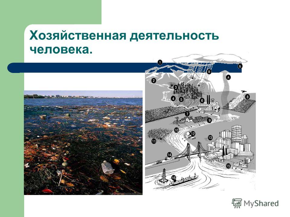 на что влияет точечный массаж на что влияет точечный массаж