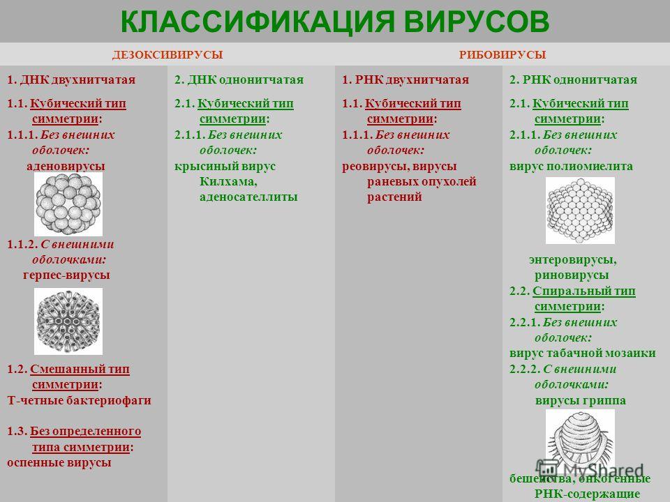 Родинки на лице значение и фото