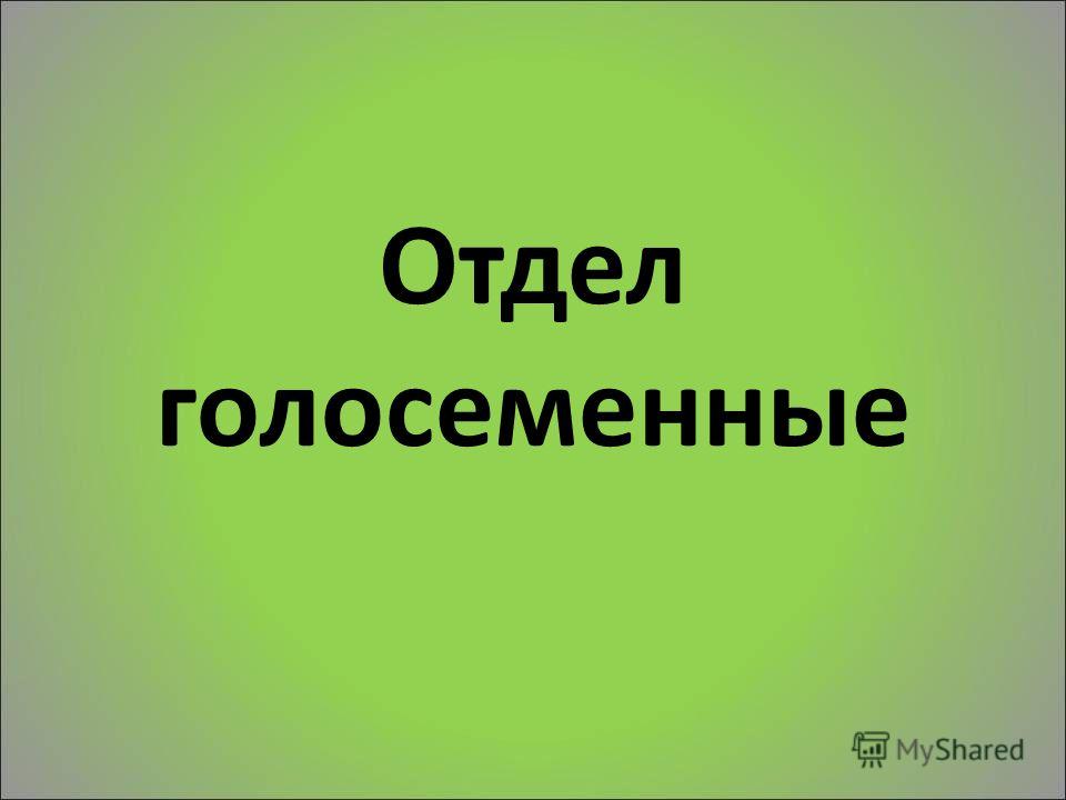 Биология 6 класс голосеменные