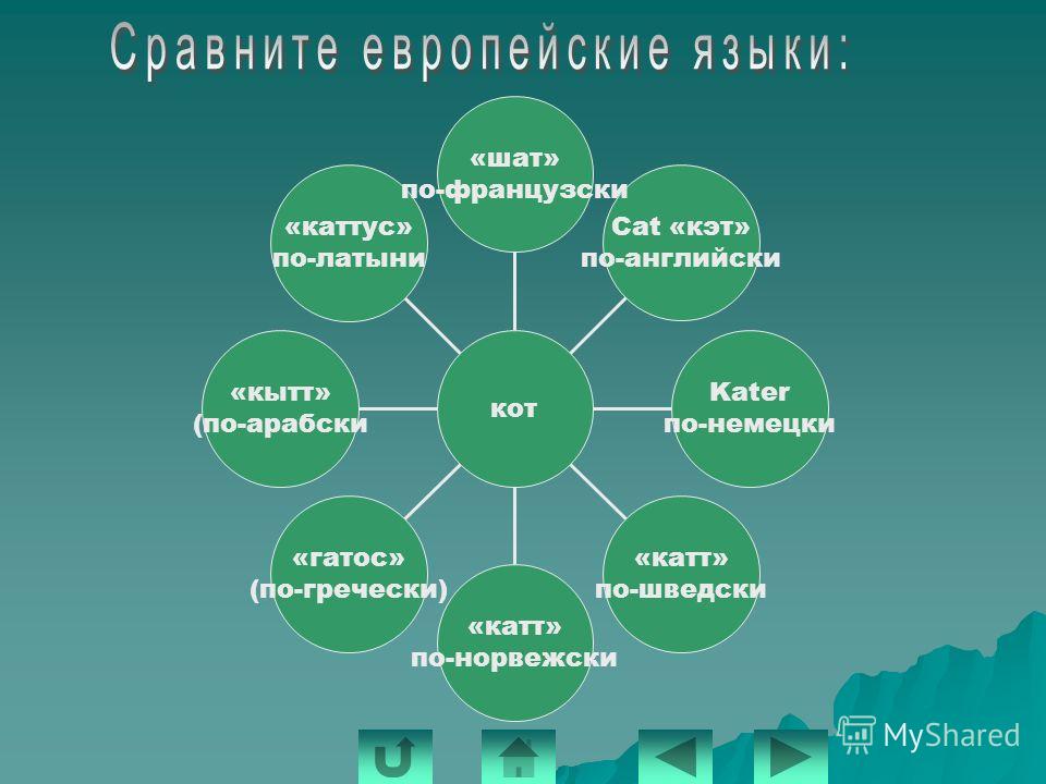 Бисер по арабски Бисер по арабски