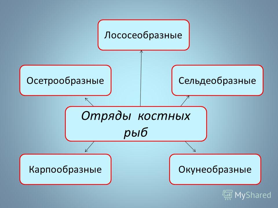 Положение о конкурсе кроссворд Положение о конкурсе кроссворд