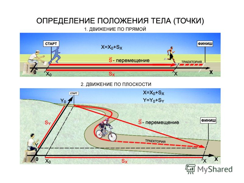 неравномерное распределение жира на животе неравномерное распределение жира на животе