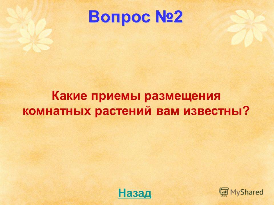 Цветы для дома и их значение и 36 Цветы для дома и их значение и 99