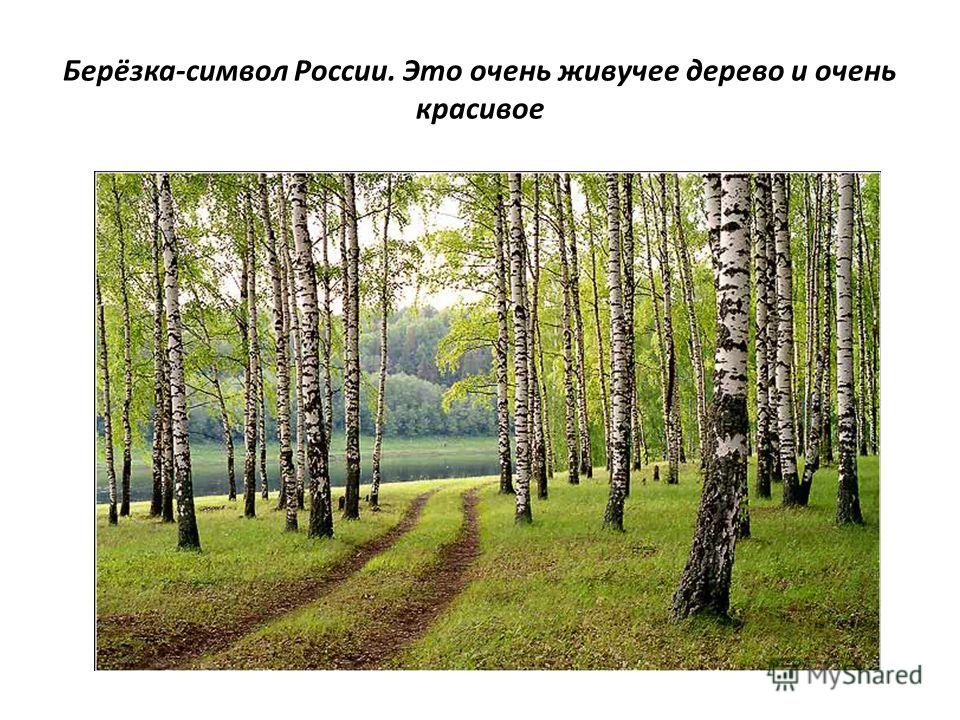 Поздравление эльзе Поздравление эльзе