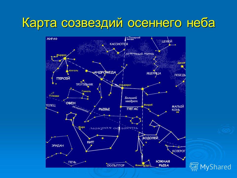 Вязание крючком для женщин Вязание крючком для женщин