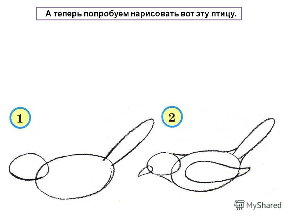 Рисовать птицу снегирь Рисовать птицу снегирь