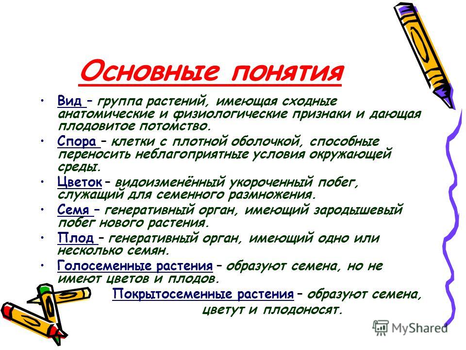 Растения не дающие семена Растения не дающие семена