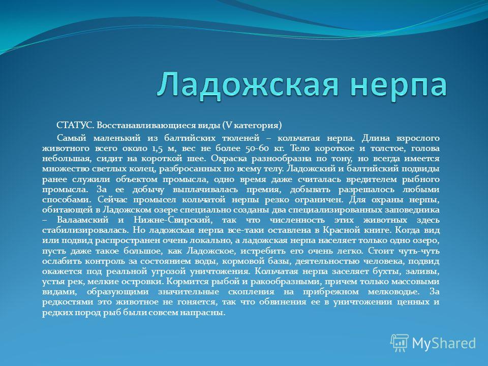 Статус а может это он и нужен мне Статус а может это он и нужен мне