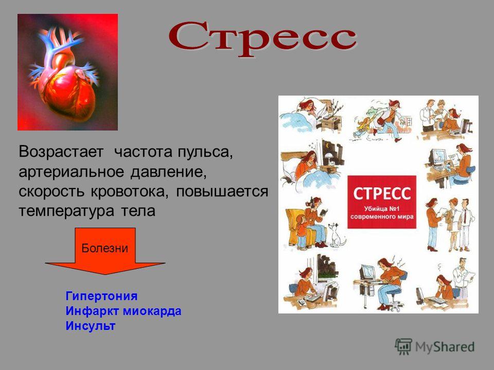 Возрастает частота пульса, артериальное давление, скорость кровотока, повышается температура тела Болезни Гипертония Инфаркт миокарда Инсульт