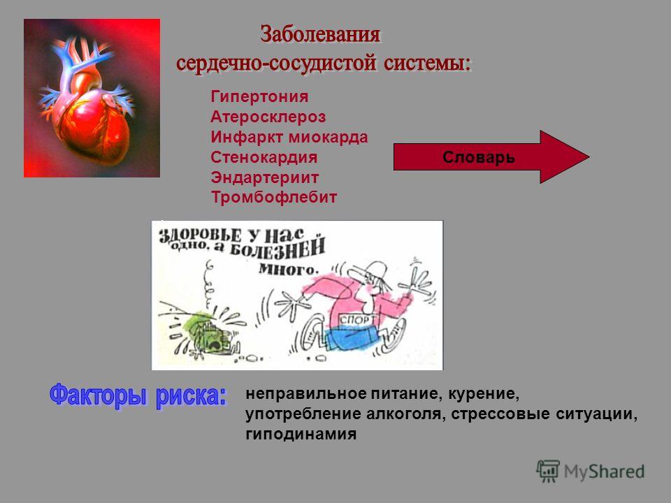 Гипертония Атеросклероз Инфаркт миокарда Стенокардия Эндартериит Тромбофлебит Словарь неправильное питание, курение, употребление алкоголя, стрессовые