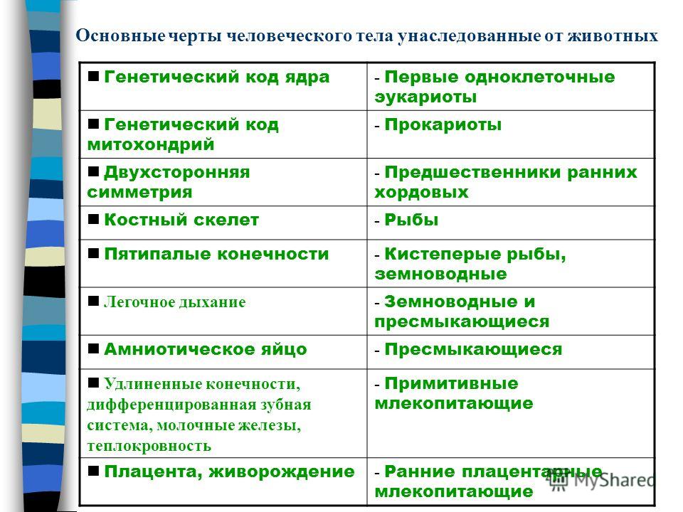 скачать песню рок скелет скачать песню рок скелет